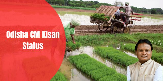 Odisha CM Kisan Status 2025: Check at cmkportal.odisha.gov.in, Next Installment Payment