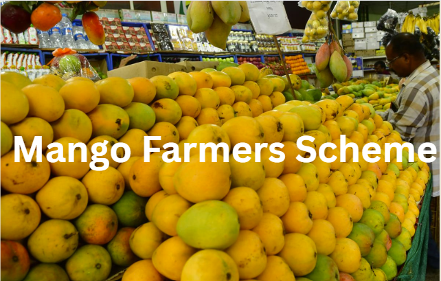 Mango Farmers Scheme